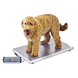 330 lb Capacity, Digital Veterinary Platform Scale